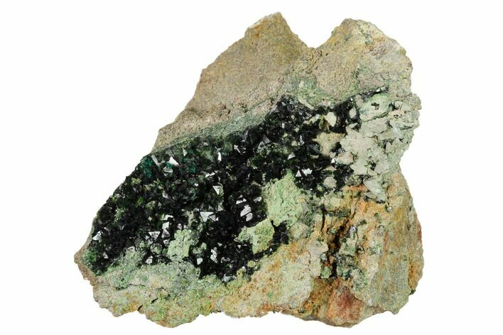 Deep-Green Libethenite Crystal Cluster #169819